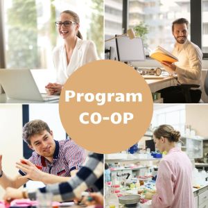 Program stażowy CO OP